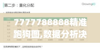 7777788888精准跑狗图,数据分析决策_HT5.905