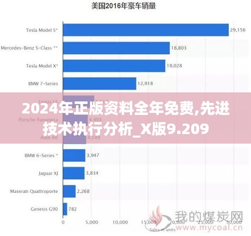 2024年正版资料全年免费,先进技术执行分析_X版9.209