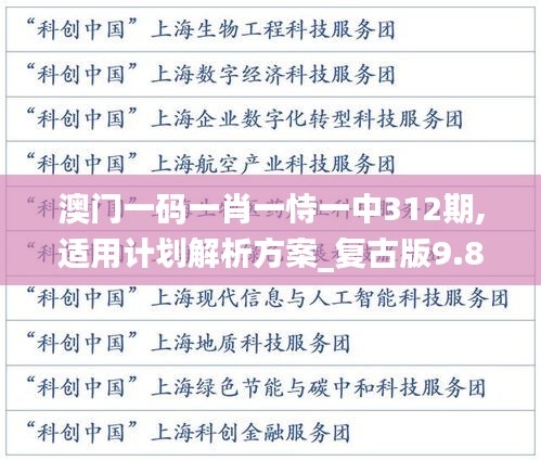 澳门一码一肖一恃一中312期,适用计划解析方案_复古版9.865