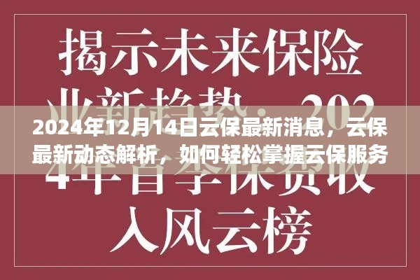 云保服务升级解析，掌握关键步骤的初学者与进阶用户指南（最新动态，2024年）