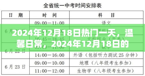 2024年12月18日精彩瞬间，温馨日常与热门一日回顾