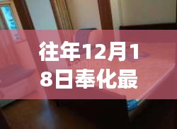 奉化租房日常趣事与友情纽带，温馨租房回顾与最新动态（12月18日）