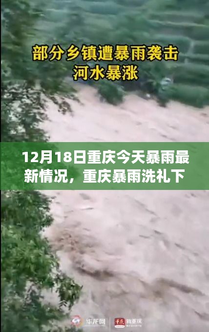 重庆暴雨洗礼下的励志篇章，暴雨最新情况与学习成长的力量