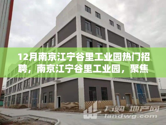 南京江宁谷里工业园十二月热门招聘揭秘，探寻产业新动向