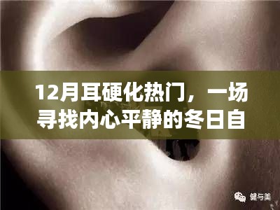 2024年12月22日 第4页