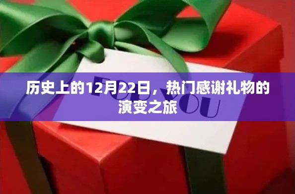 2024年12月23日 第12页