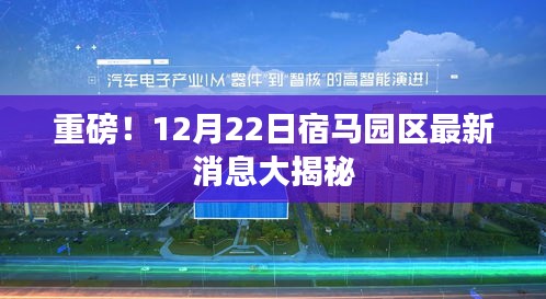 2024年12月23日 第8页