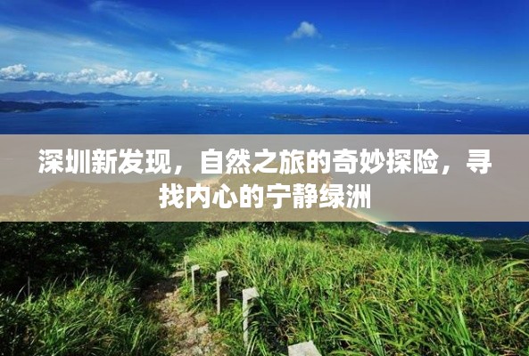 深圳自然之旅新发现，奇妙探险与心灵绿洲的探寻