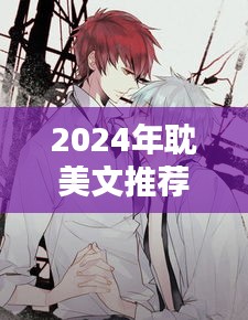 2024耽美文精选集，深度解析独特魅力与推荐