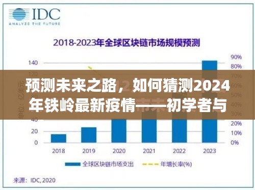 初学者与进阶用户指南