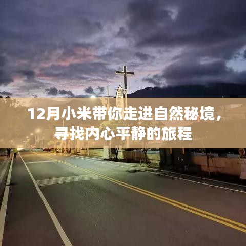 小米带你走进自然秘境，探寻内心宁静之旅