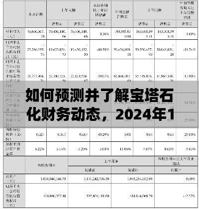 宝塔石化财务动态预测与热门消息获取指南，2024年12月22日指南