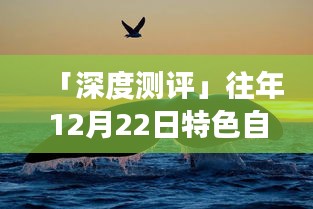 「独家深度测评」落日与鲸的奇遇，12月22日特色自由行攻略大揭秘