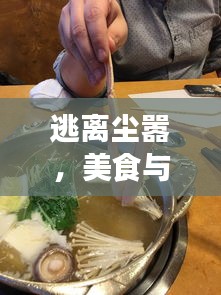 历年冬至美食之旅，逃离尘嚣，双重诱惑下的奇妙探索