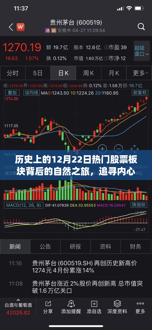 探寻热门股票背后的自然之旅，历史12月22日的内心宁静与奇迹之路