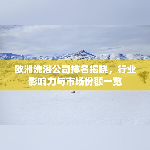 欧洲洗浴公司排名揭晓，行业影响力与市场份额一览