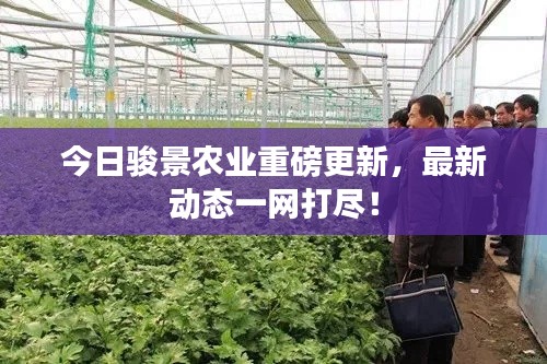 今日骏景农业重磅更新，最新动态一网打尽！