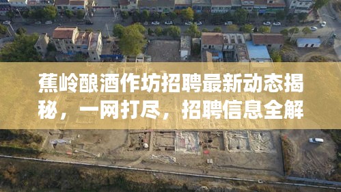 蕉岭酿酒作坊招聘最新动态揭秘，一网打尽，招聘信息全解读