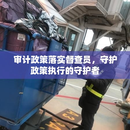 审计政策落实督查员，守护政策执行的守护者