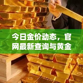 今日金价动态，官网最新查询与黄金市场投资指南