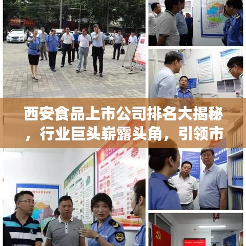 西安食品上市公司排名大揭秘，行业巨头崭露头角，引领市场风向标！