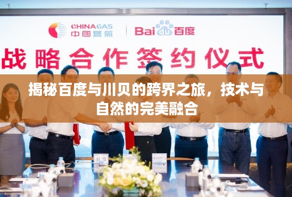揭秘百度与川贝的跨界之旅，技术与自然的完美融合
