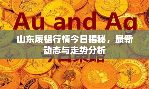 山东废铝行情今日揭秘，最新动态与走势分析