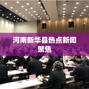 河南新华县热点新闻聚焦