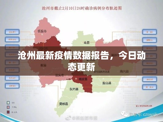 沧州最新疫情数据报告，今日动态更新