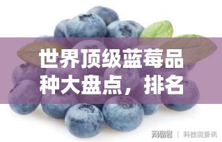 世界顶级蓝莓品种大盘点，排名榜单不容错过！