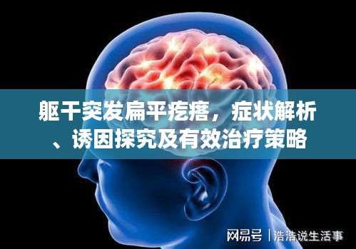 躯干突发扁平疙瘩，症状解析、诱因探究及有效治疗策略
