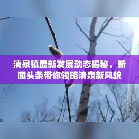 清泉镇最新发展动态揭秘，新闻头条带你领略清泉新风貌