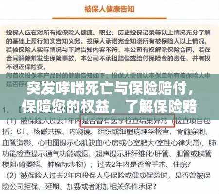 突发哮喘死亡与保险赔付，保障您的权益，了解保险赔付细节