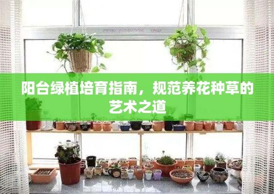 阳台绿植培育指南，规范养花种草的艺术之道