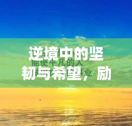 逆境中的坚韧与希望，励志语录带你走出挫败阴霾！