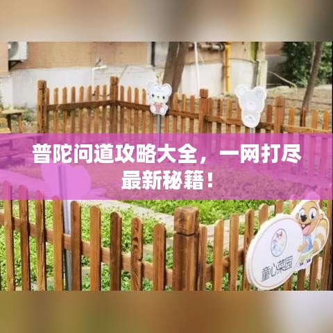 普陀问道攻略大全，一网打尽最新秘籍！