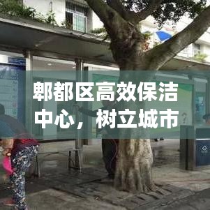 郫都区高效保洁中心，树立城市清洁新标杆