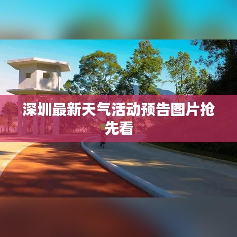 深圳最新天气活动预告图片抢先看