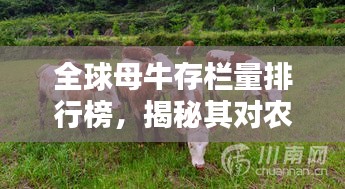全球母牛存栏量排行榜，揭秘其对农业生态的影响