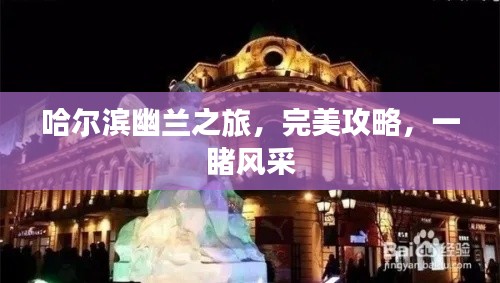 哈尔滨幽兰之旅，完美攻略，一睹风采