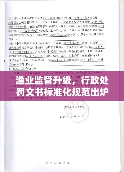 渔业监管升级，行政处罚文书标准化规范出炉