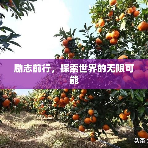励志前行，探索世界的无限可能