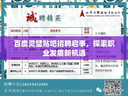 百度灵璧贴吧招聘启事，探索职业发展新机遇
