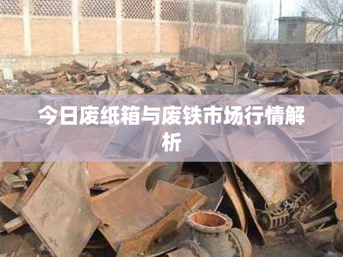 今日废纸箱与废铁市场行情解析