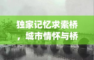 独家记忆求索桥，城市情怀与桥梁故事交织的传奇