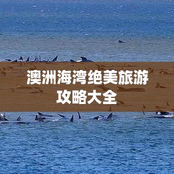 澳洲海湾绝美旅游攻略大全