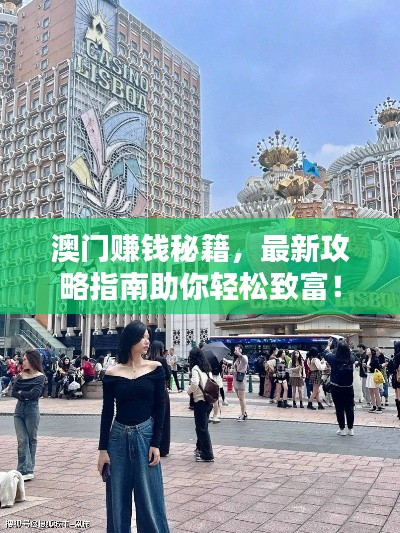 澳门赚钱秘籍，最新攻略指南助你轻松致富！