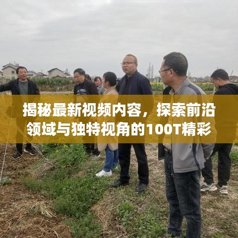 揭秘最新视频内容，探索前沿领域与独特视角的100T精彩瞬间