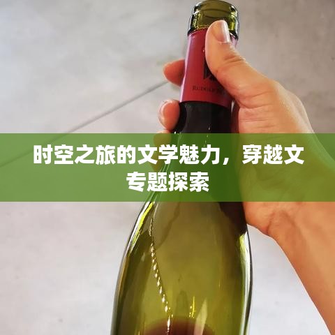 时空之旅的文学魅力，穿越文专题探索