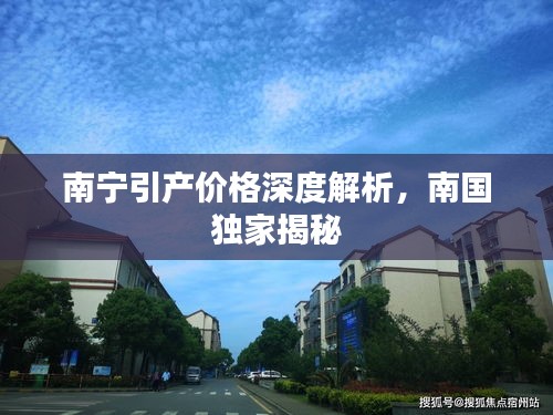 南宁引产价格深度解析，南国独家揭秘